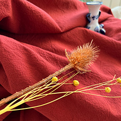 Visiniu burgundy